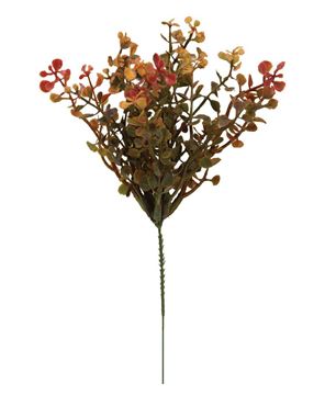 Picture of Red Peppergrass Pick
