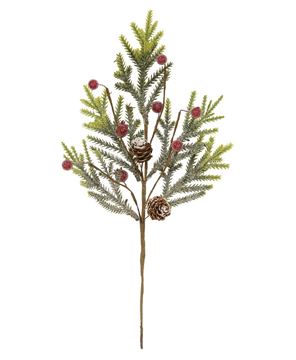 Picture of Mountain Pine w/ Berries Pick