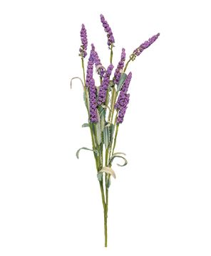 Picture of Lavender Heather Spray