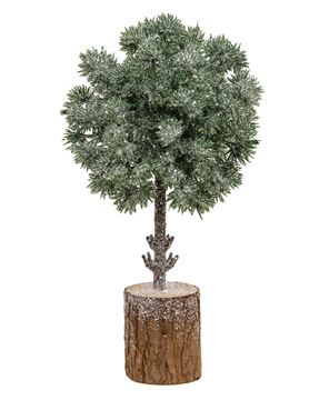 Picture of Frosted Balsam Fir Topiary, 10"