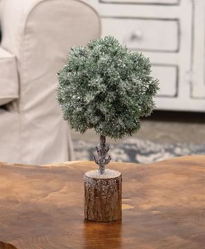 Picture of Frosted Balsam Fir Topiary, 10"