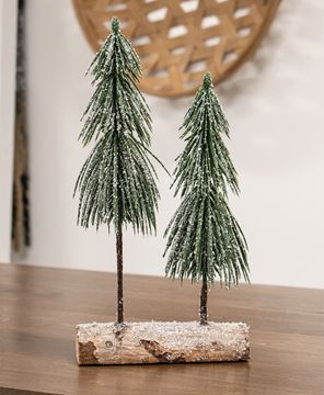 Picture of Snowy Pine Tree Pair on Log