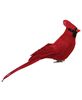 Picture of Red Feathered Cardinal Clip, 12"