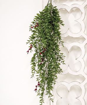 Picture of Lady Ruscus & Berries Hanging Bush, 36"