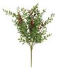 Picture of Lady Ruscus & Berries Bush, 12"