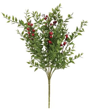 Picture of Lady Ruscus & Berries Bush, 19"