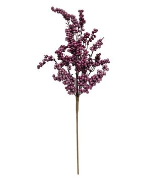 Picture of Canella Berries Spray, 25", Plum
