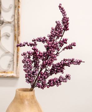 Picture of Canella Berries Spray, 25", Plum