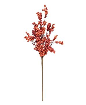 Picture of Canella Berries Spray, 25", Coral