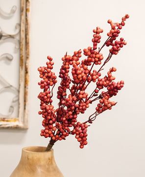 Picture of Canella Berries Spray, 25", Coral