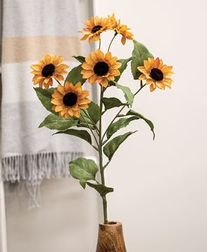 Picture of Golden Mini Sunflower Spray, 30"