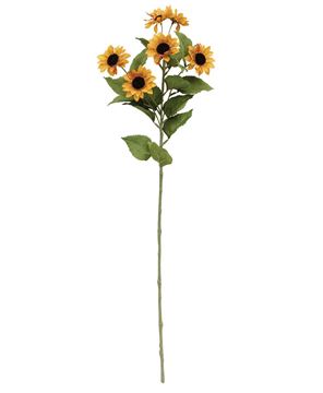 Picture of Golden Mini Sunflower Spray, 30"