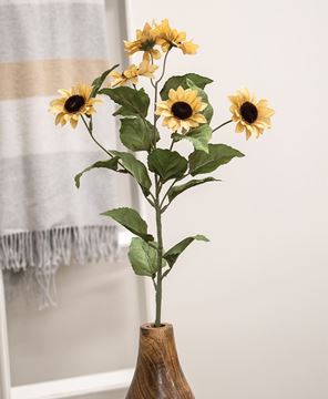 Picture of Teastain Mini Sunflower Spray, 30"