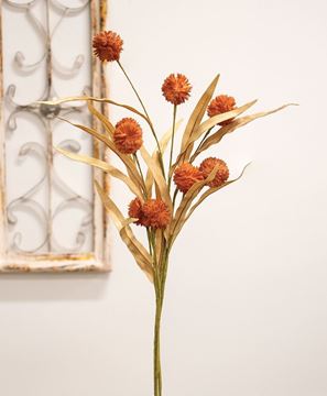 Picture of Fall Grass & Billy Ball Spray, Burnt Orange