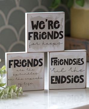 Picture of Friends For Keeps Square Block, 3 Asstd.