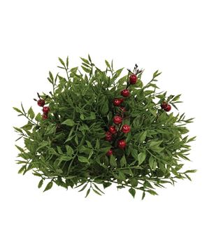 Picture of Lady Ruscus & Berries Half Sphere, 8.5"
